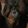 Jamie McTaggart's avatar