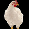 Brian Fairclough's avatar