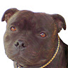 J Parkes's avatar