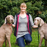Sarah Stevens's avatar