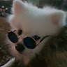 Anonymous's avatar