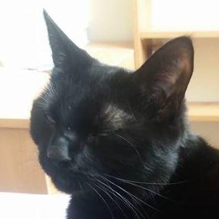 JB Anderton's avatar