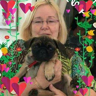 Sue Nicholl's avatar