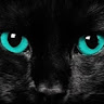 Hypno Google's avatar