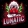 lunatic hunt's avatar