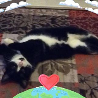 Karen Murphy's avatar