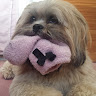 Lucie Collins's avatar