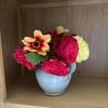 Shirley Cairns's avatar