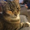 Sam Hughes's avatar