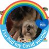 Maureen Gash - Lavery's avatar