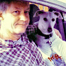 David Stopforth's avatar