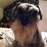 Sue Wardle's avatar