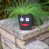 Mike Thompson's avatar