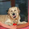 Linda Coultrup's avatar