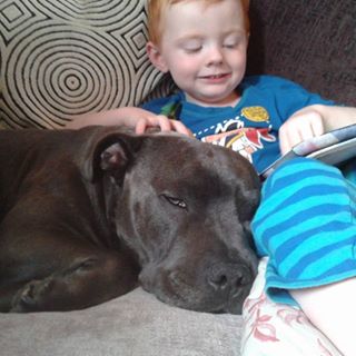 Stuart Hayes's avatar