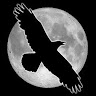 Sativun's avatar