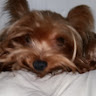 Andrea Alado's avatar