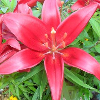 Avril Hathway's avatar