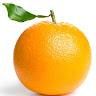 Common Orange's avatar