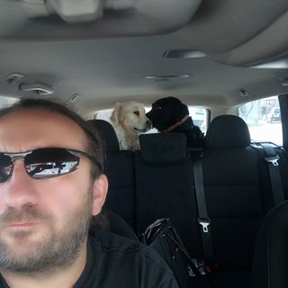 Daniel Krawczyk's avatar