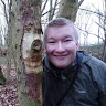Allen J Bird's avatar