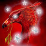 SCOUSER TOMMY's avatar