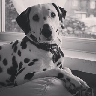 Michelle Childs's avatar