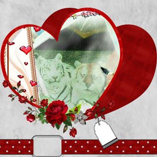 Susan Freeman's avatar