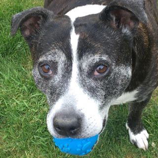 Michael Scott's avatar