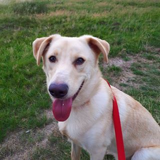 Clare Bennett's avatar