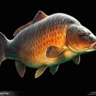 Gary Jeffries's avatar