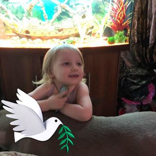 Steven Walters's avatar