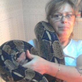 Patricia Marsh's avatar