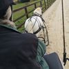 Claire Dees's avatar