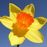 Rachel S's avatar