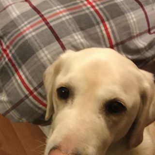 Bev Robertson's avatar