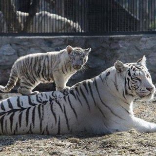 Owen Mclaverty's avatar