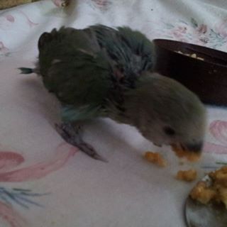 Sharon Webster's avatar