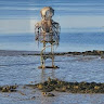 Simon Galloway's avatar