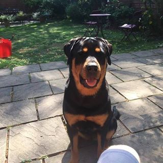 James Connor's avatar