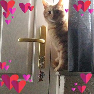 Linda Thompson's avatar