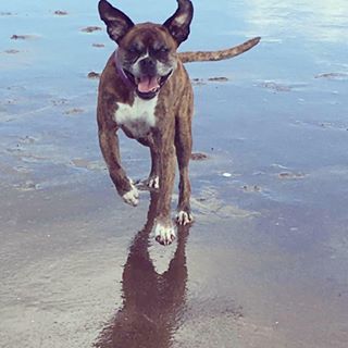 Stuart Kirkwood's avatar