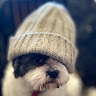Neil Makins's avatar