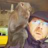 Anthony Collier's avatar