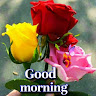 Narinder Singh Chohan's avatar