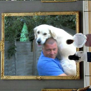 Michael Aylott's avatar