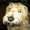 Marg Coward's avatar