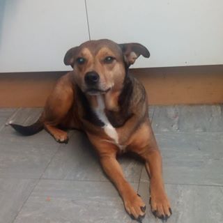 Karen Cabassi's avatar