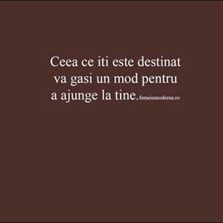 Rodica Calipar's avatar