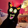 Vicki Garner's avatar
